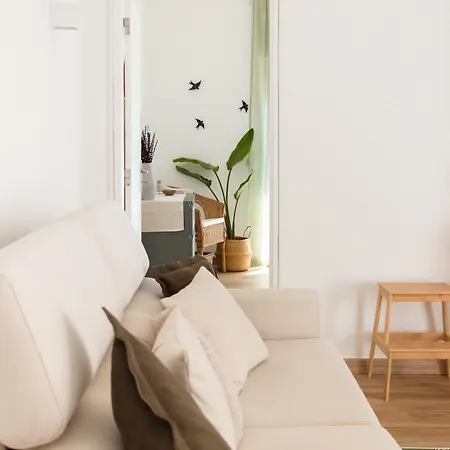 Apartment Cegonha Branca Flat *